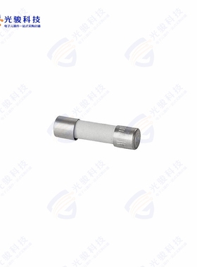 431400000《FUSE 5X20MM 6.3A 250V FST》