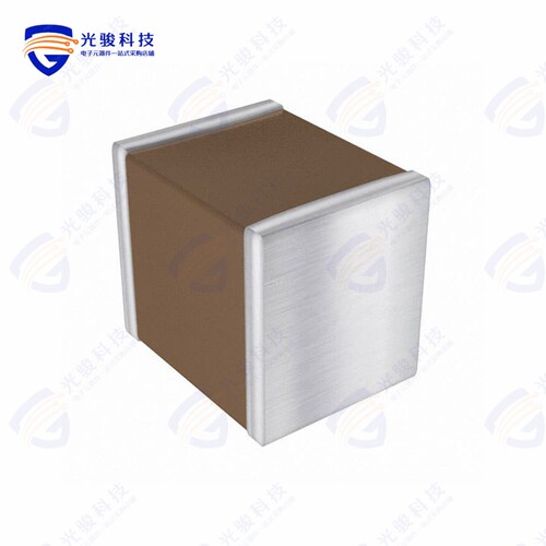 LD106D107MAB2A《CAP CER 100UF 6.3V X5R 1210》