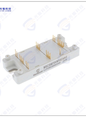 MSCSM70VM10C4AG晶体管MOSFET 2N-CH 700V 238A SP4