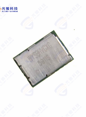 WYSBHVGXG《RX TXRX MOD WIFI SURFACE MOUNT》