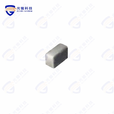 BSPQ000603043N0B00《FIXED IND 3NH 600MA 120MOHM SMD》