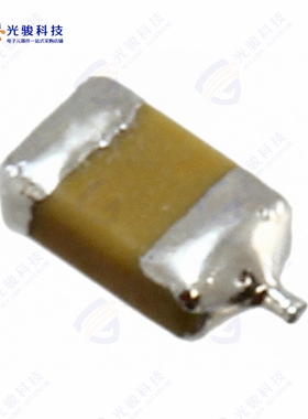 F950J107MAAAM1Q2《CAP TANT 100UF 20% 6.3V 1206》