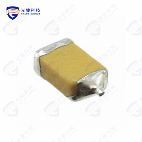 F950G107MSAAQ2《CAP TANT 100UF 20% 4V 1206》