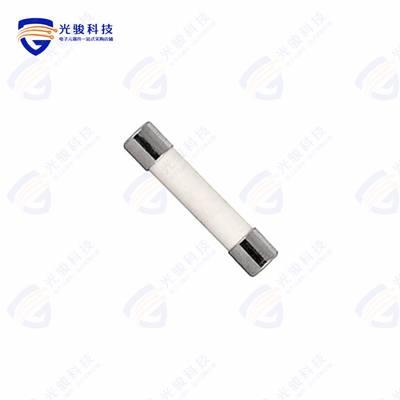 8020.0607《FUSE CERAMIC 30A 250VAC 3AB 3AG》