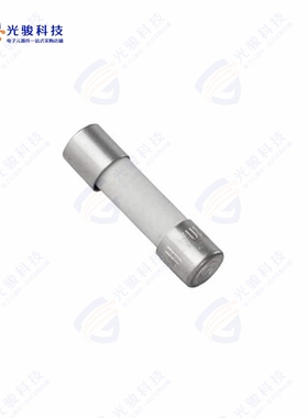 431300000《FUSE 5X20MM 5 A 250V FST》