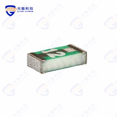 3413.0331.11《UST 1206 FUSE 20A F》