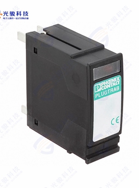 2819008《SURGE PROTECTION PLUG 24V》