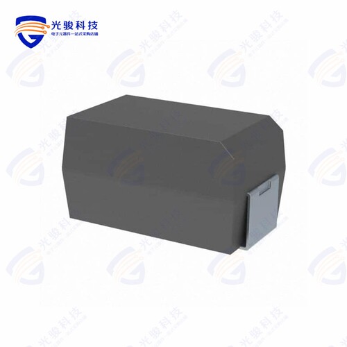 T55D107M020C0055《T55D107M020C0055》