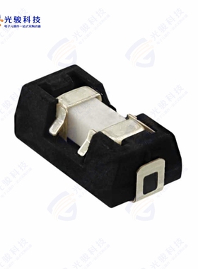 0154002.DRL《FUSE BOARD MNT 2A 125VAC/VDC SMD》