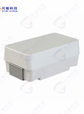 04200008UR《FUSE BOARD MOUNT 5A 250VAC 2SMD》