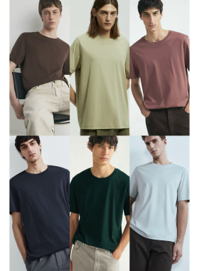 俄罗斯lim出口外贸美利奴棉柔软亲肤透气吸湿微光泽感T恤B6 2523