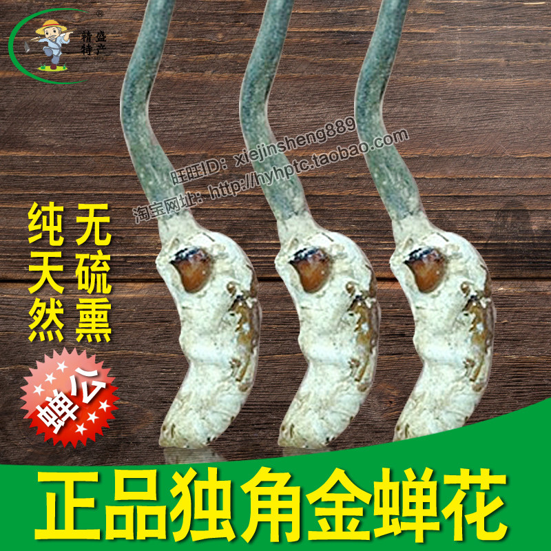 精选野生公蝉花独角金蝉花正宗蝉公蝉蛹草饱满带花虫花250克包邮