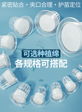 水培蔬菜定植篮固根器无土栽培设备塑料大棚水耕种植杯加定植海绵