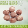 湖北特産洪湖蓮子有芯紅蓮幹貨農家野生自産500g包郵銀耳蓮子百合