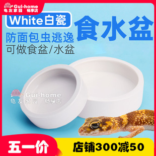 爬虫防逃逸食盆爬宠守宫鬃狮饲料面包虫大麦虫蜘蛛角蛙陶瓷水盆