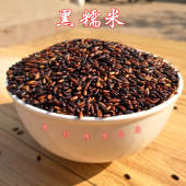 500克 五谷杂粮粗粮饭早餐粥 2025年农家新黑糯米血糯米 紫糙糯米