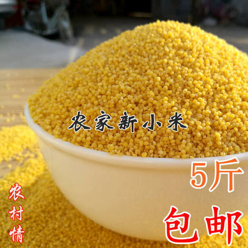 2025年小黄米新小米粗杂粮孕妇