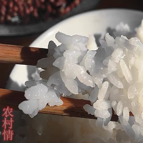2024年新大米提前泡半小时很好吃