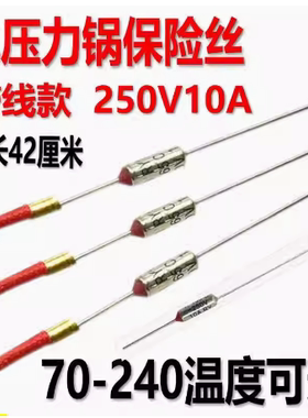 电饭煲压力锅金属温度保险管丝热敏电阻温控传感器二极管250V 10A