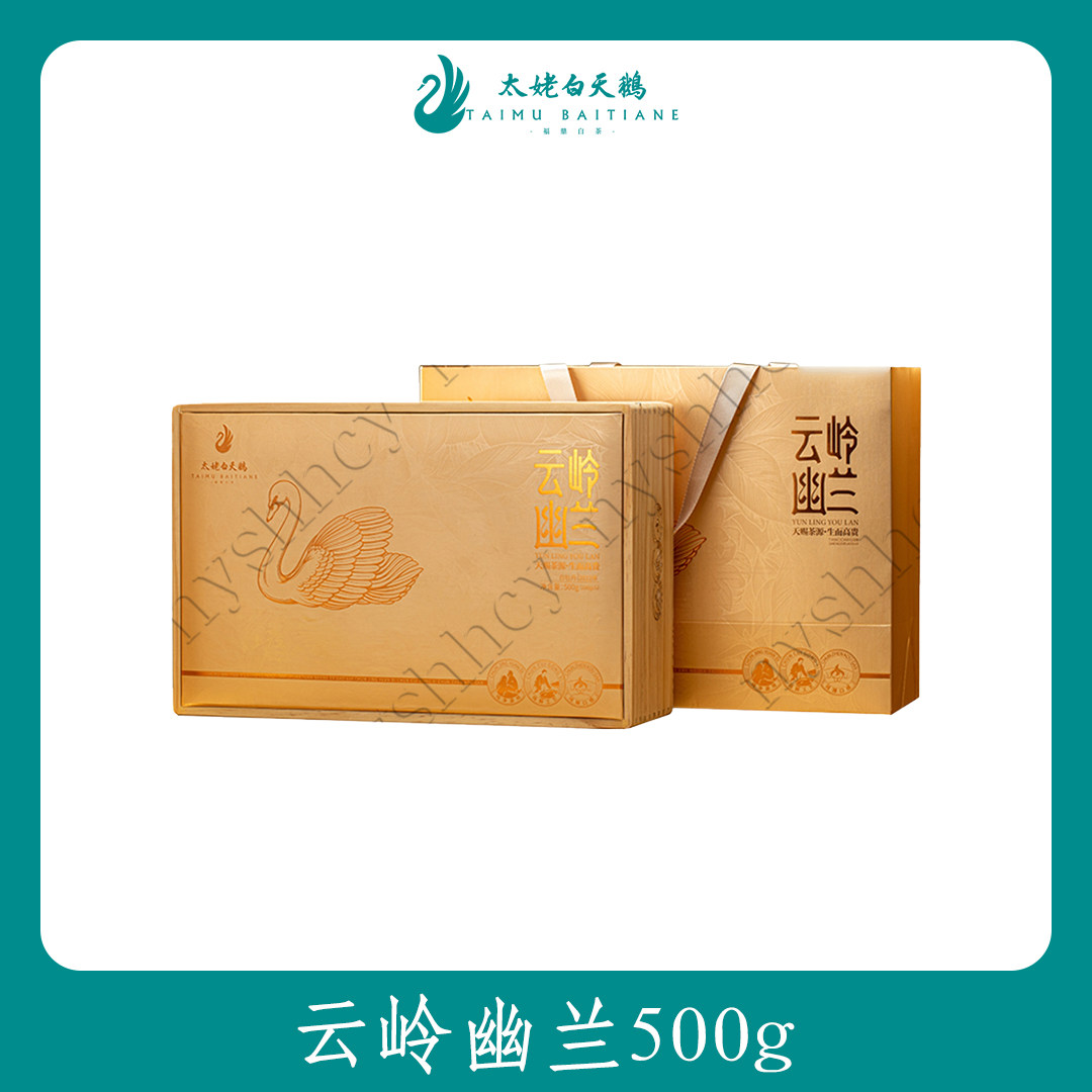太姥白天鹅云岭幽兰2022年一级白牡丹500g散茶木箱收藏装福鼎白茶