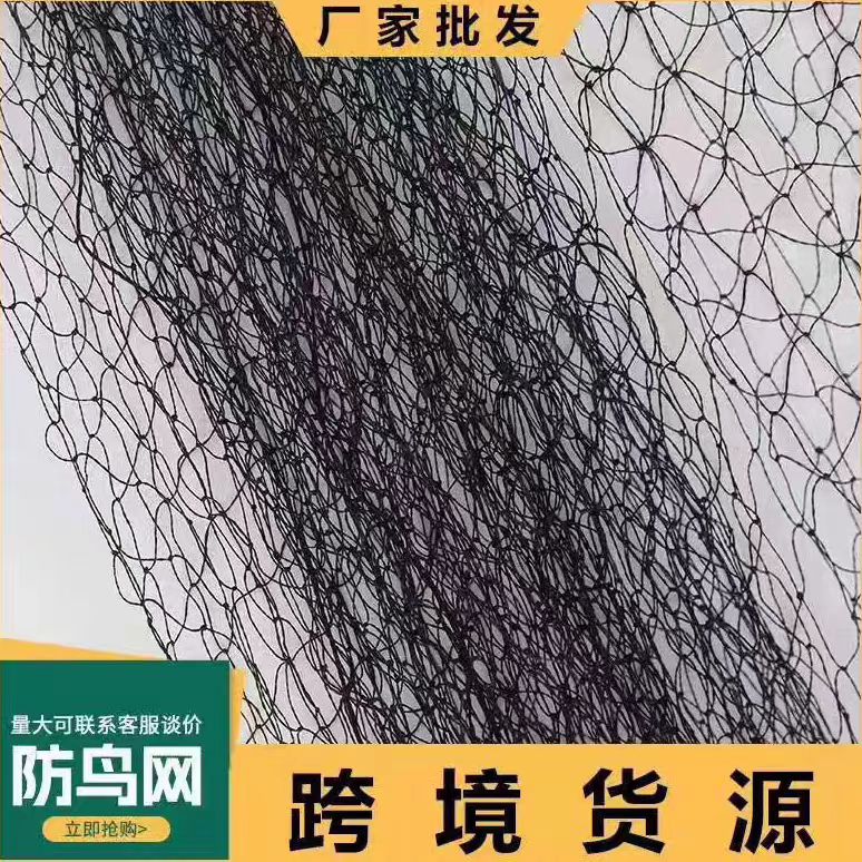 果园农用防鸟网养殖网大棚樱桃葡萄防护网鱼塘果树围栏网
