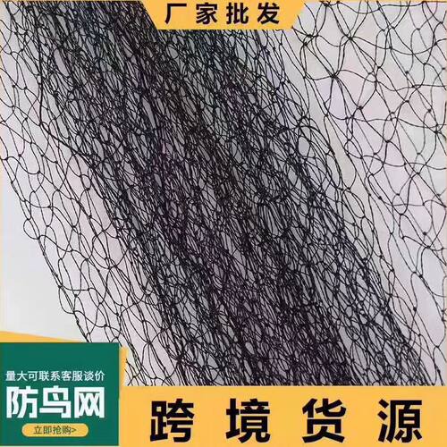 果园农用防鸟网养殖网大棚樱桃葡萄防护网鱼塘果树围栏网