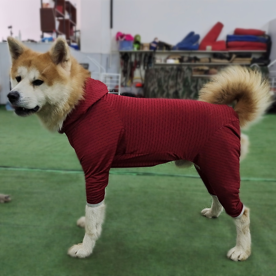 狗狗衣服中大型犬防掉毛大狗边牧秋田金毛四脚衣护肘关节加绒卫衣