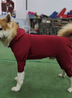 狗狗衣服中大型犬防掉毛大狗边牧秋田金毛四脚衣护肘关节加绒卫衣