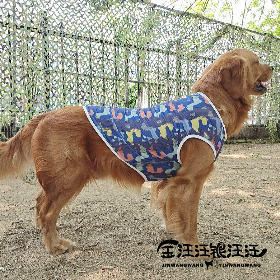 金毛大狗狗夏天衣服网眼柴犬中型图片