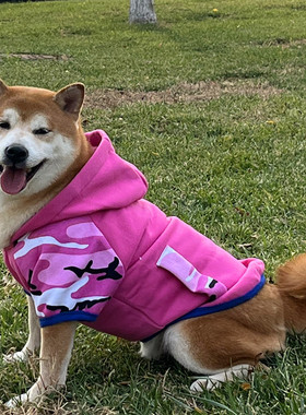 宠物卫衣金毛拉布拉多柴犬边牧狗狗衣服中型犬秋冬连帽保暖二脚衣