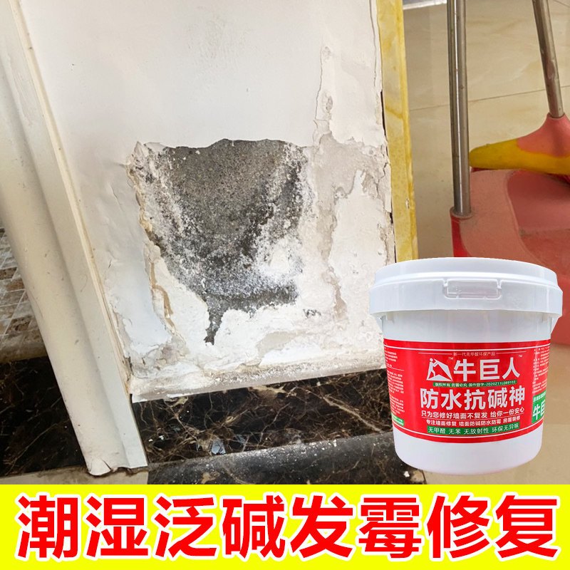 内墙起碱脱落修补涂料防水防潮防碱背水面墙面潮湿卫生间渗水修复