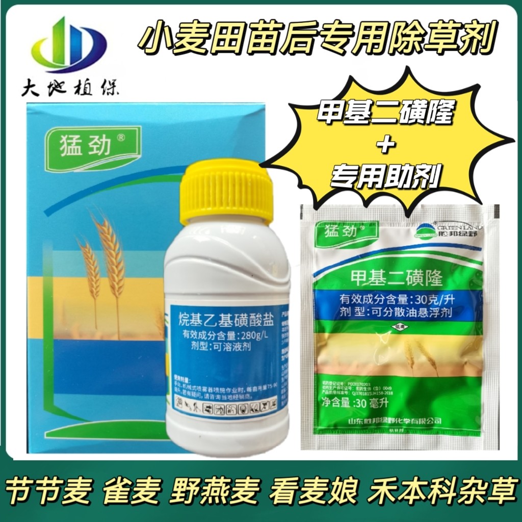 甲基二磺隆专杀节节麦野燕麦看麦娘黑麦草小麦田苗后除草剂杂草药
