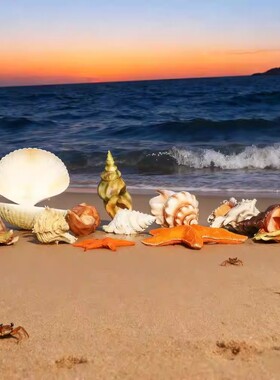 仿真大贝壳珊瑚章鱼落地摆件