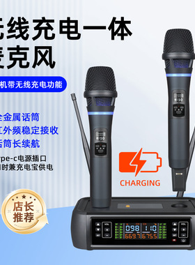 朗声工厂批发J170专业无线话筒一拖二舞台婚庆演出户外KTV麦克风