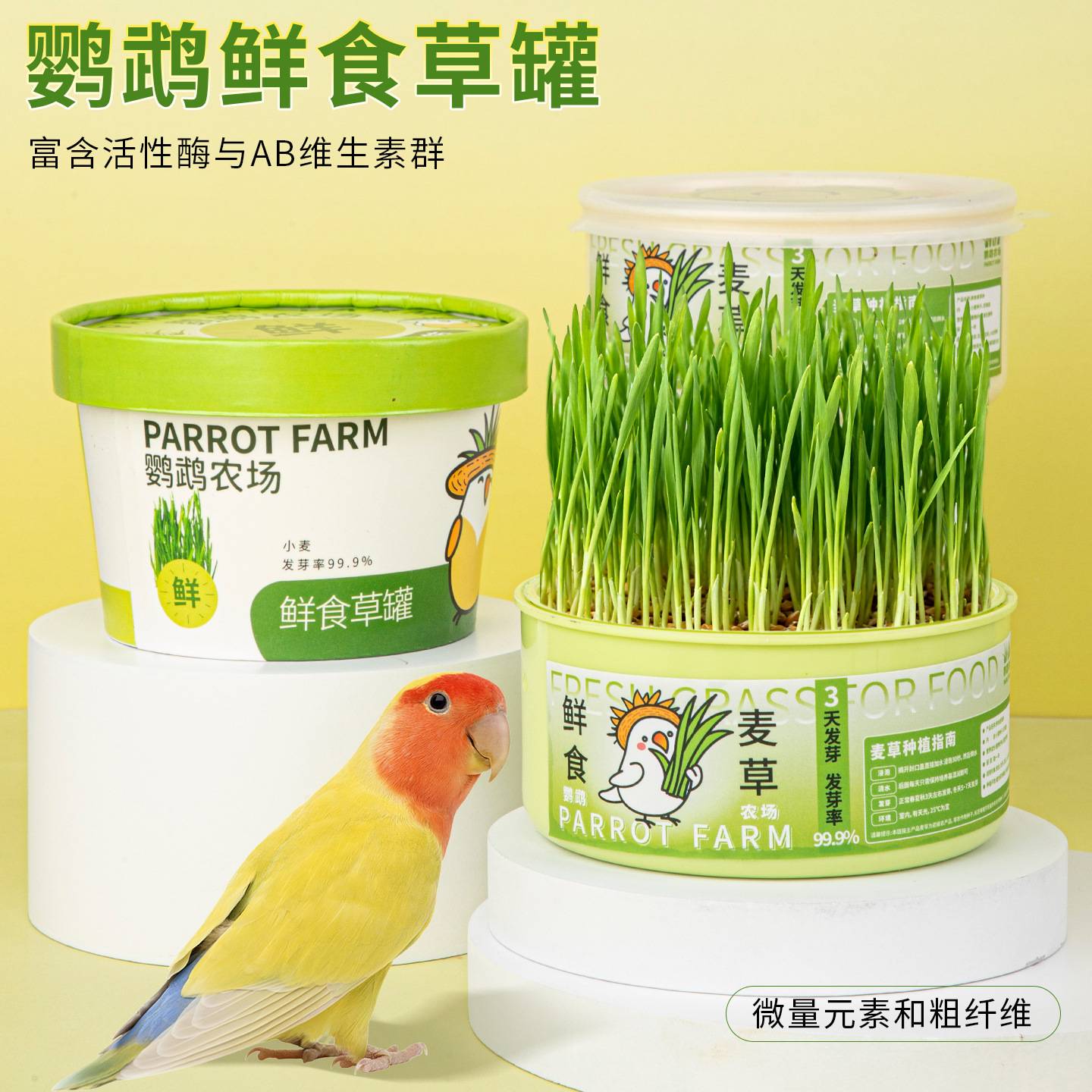 鹦鹉青草盒虎皮牡丹玄凤专用草盒兔兔干草