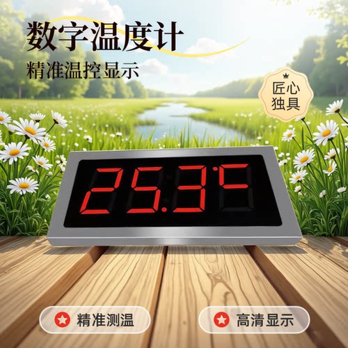 华辰骊天专业温度显示器测温仪
