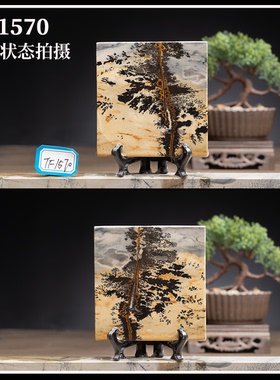 广西草花国画石方形挂饰平安牌薄片手玩石杯垫无漆蜡TF1558-1607