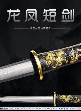 龙泉市短剑唐剑镇宅宝刀剑