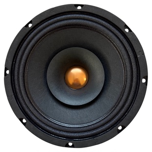 钴磁10寸全频喇叭羊毛纸盆泛音丰富高音细腻Alnico speaker