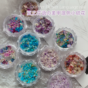 网红同款 美甲干花夏之花语混色小花碎花混合diy材料专用指甲饰品