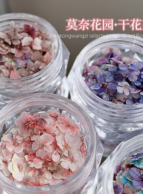 美甲干花混装素材莫奈花园迷你五瓣花材料紫色小碎花diy指甲饰品