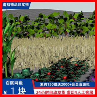 Farmer 虚幻5 UE5 农作物 种植 农田 菜地 生成 蓝图