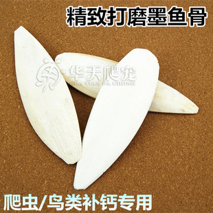 爬虫补钙墨鱼骨 陆龟乌龟蜥蜴鸟类鹦鹉钙磨牙墨鱼骨【大块】