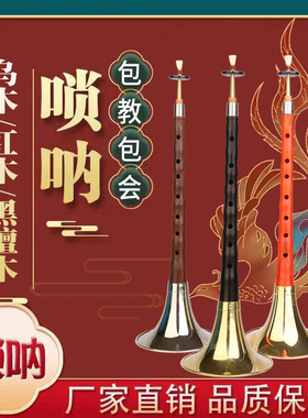 好音质红木乌木黑檀唢呐D调成人初学者唢呐乐器全套唢呐成人初学