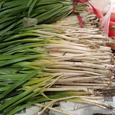 兰州春韭菜三道玉韭菜三道黄发顺丰