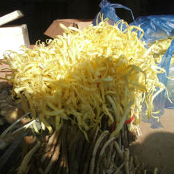 发中通兰州韭黄新鲜韭黄韭菜嫩芽报纸包裹