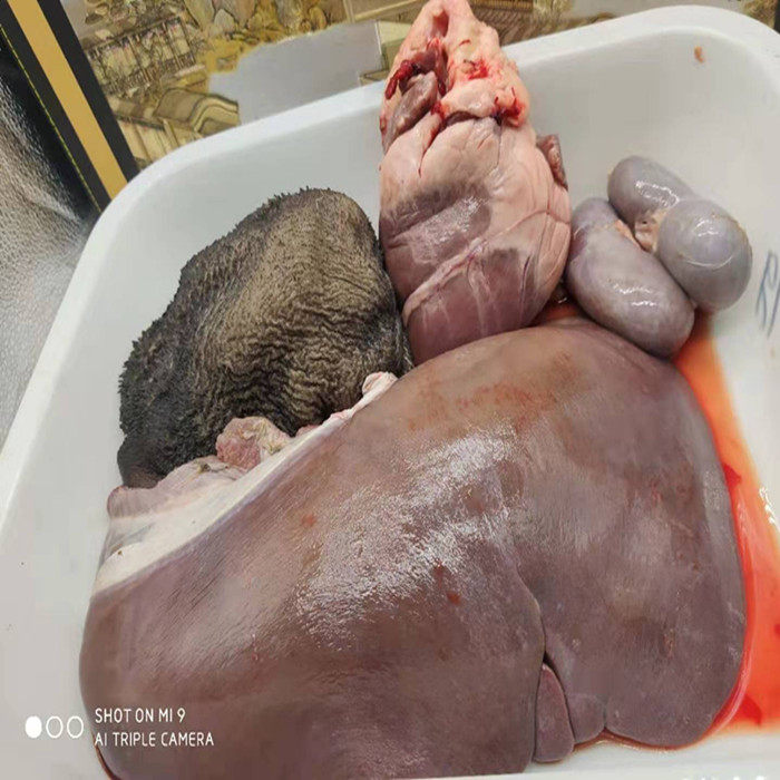 梅花鹿鲜鹿肉现杀鹿心 鹿腰 鹿肝 鹿肚顺丰生鲜