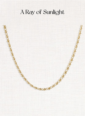 A Ray of Sunlight25秋冬埃及系列沙漠绿洲金属素链项链百搭叠戴