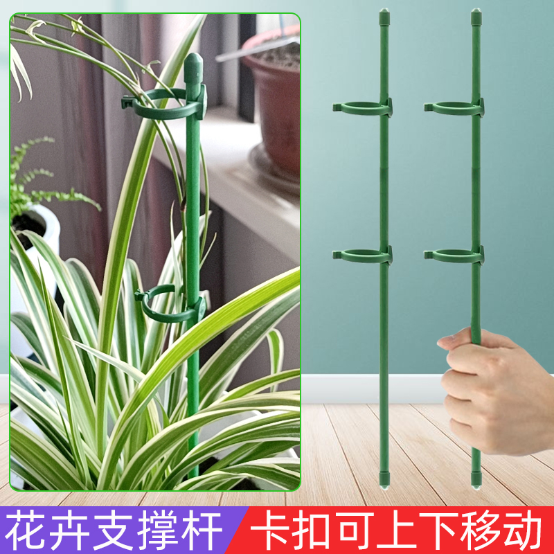 植物支撑杆防倒伏花架支撑花杆