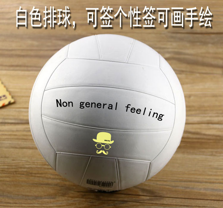 Ballon de volley-ball - Ref 2010987 Image 3